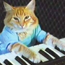 Keycat logo