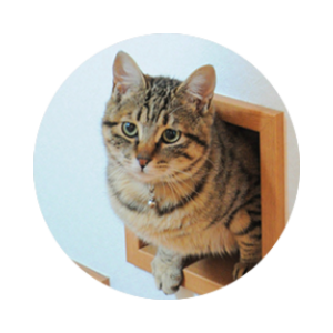 Ginnan The Cat logo