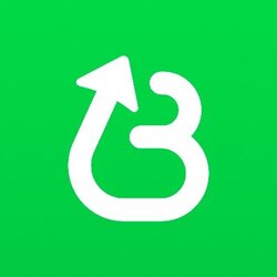 LaunchCoinonBelieve logo