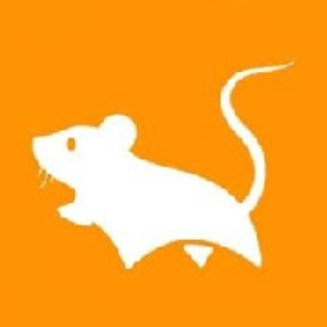 MICE