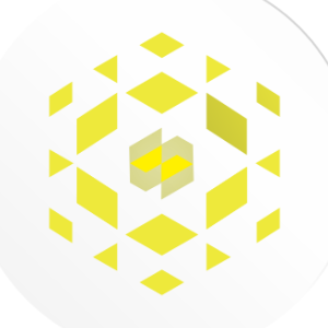 Niza Global logo