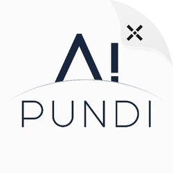 PUNAIDI logo