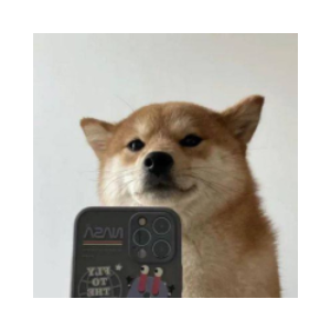 SelfieDogCoin logo
