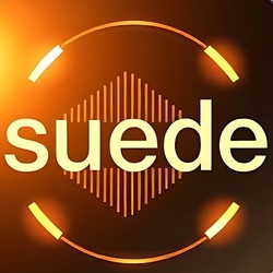 SUEDE AI logo
