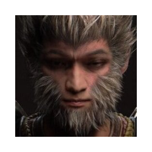 SUNWUKONG logo