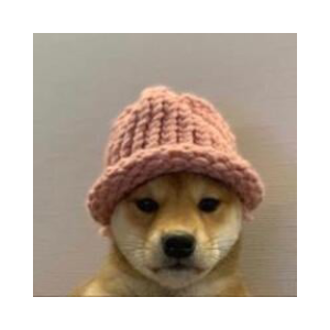 dogwifhat logo