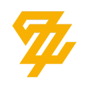 ZYN